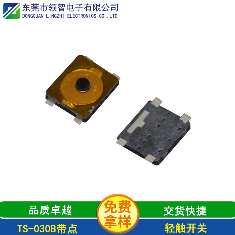 TS-030B帶點(diǎn)