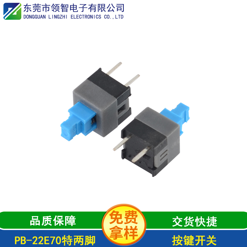 PB-22E70特兩腳