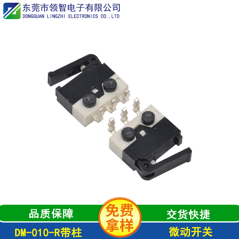 DM-010-R帶柱