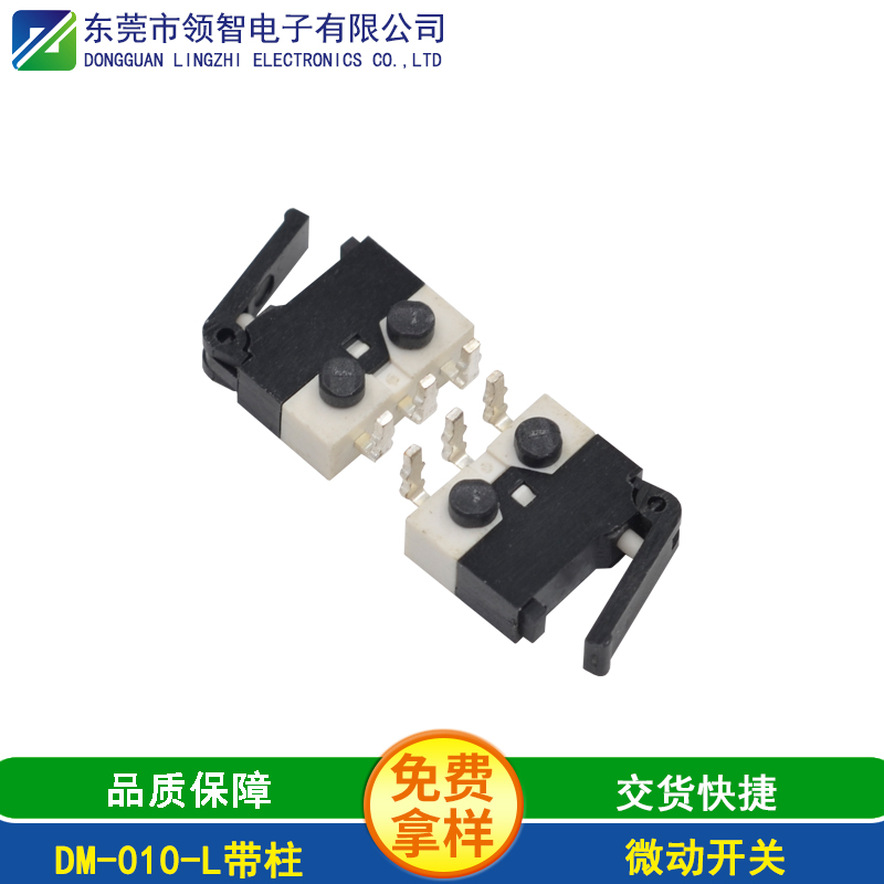 DM-010-L帶柱